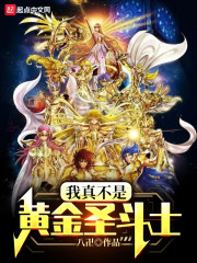 ���治�ǻƽ�ʥ��ʿ