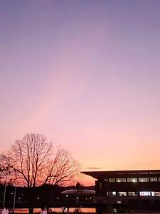 ���ֻ��Σ���֪�Ǻ��