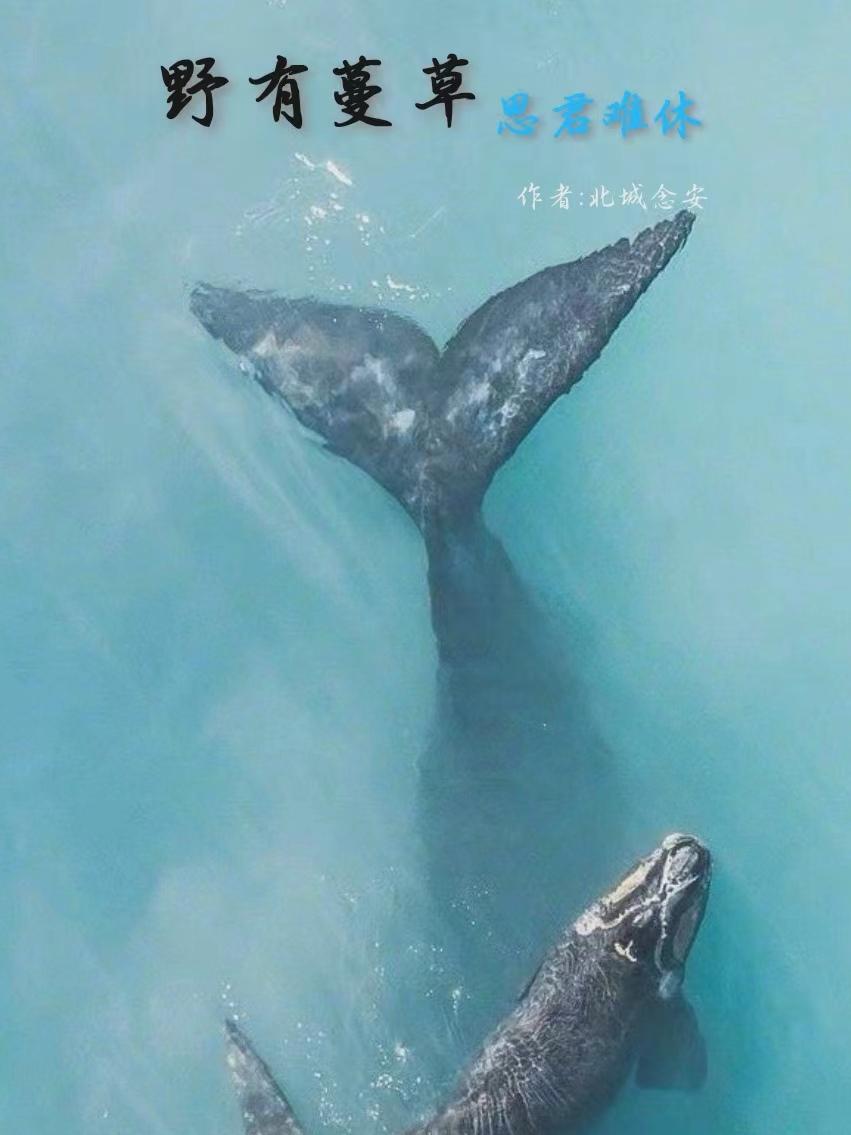 Ұ�����ݣ�˼������