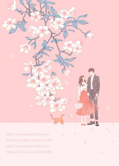 ����С˵TXT������