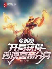 ȫְ��ʦ�����ֻ��ɳĮ�ʵ۷���