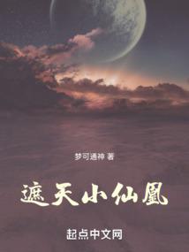 ����С�ɻ�