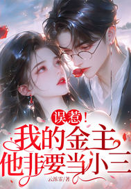 误惹!我的金主,他非要当小三